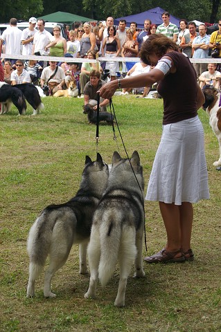 Kynologická revue - www.dogsk.sk