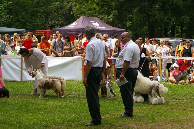 Kynologická revue - www.dogsk.sk