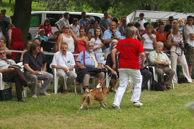 Kynologická revue - www.dogsk.sk