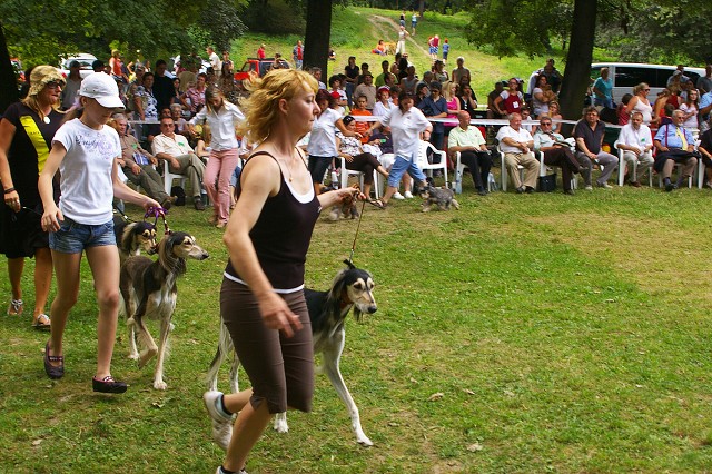 Kynologická revue - www.dogsk.sk