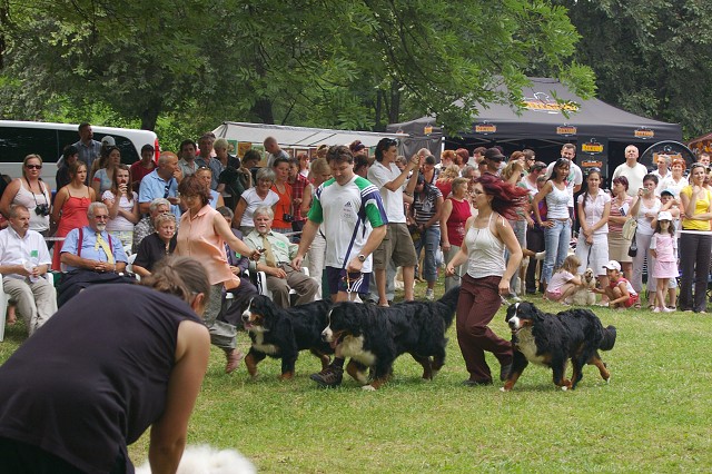 Kynologická revue - www.dogsk.sk