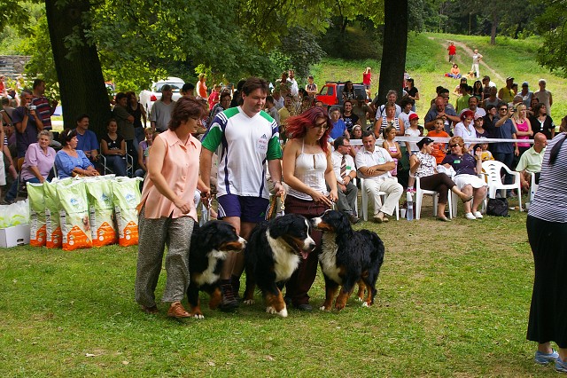 Kynologická revue - www.dogsk.sk