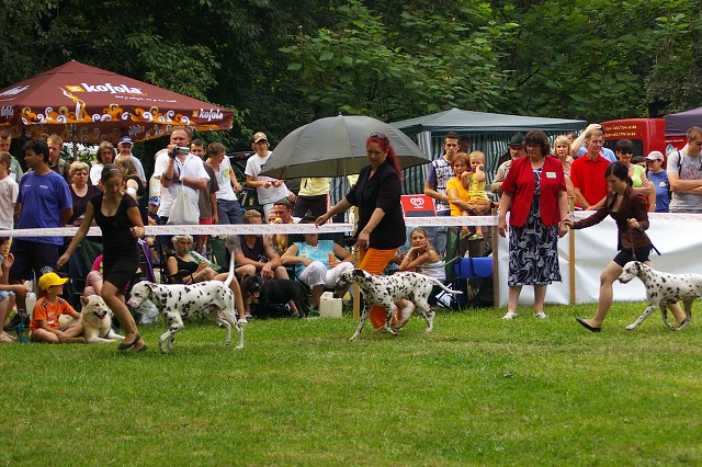 Kynologická revue - www.dogsk.sk