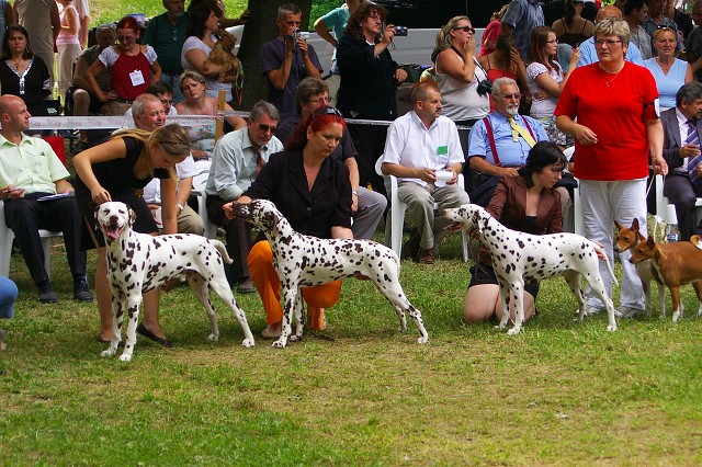 Kynologická revue - www.dogsk.sk