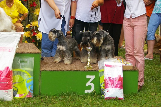 Kynologická revue - www.dogsk.sk