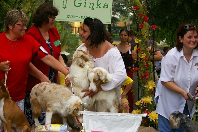 Kynologická revue - www.dogsk.sk
