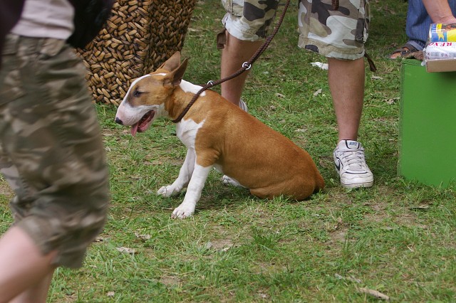 Kynologická revue - www.dogsk.sk