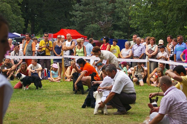 Kynologická revue - www.dogsk.sk