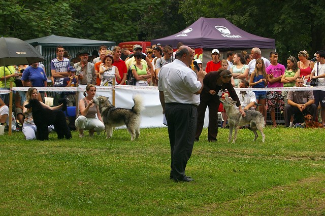 Kynologická revue - www.dogsk.sk
