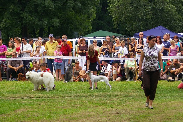 Kynologická revue - www.dogsk.sk