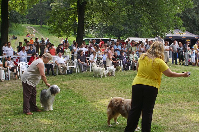 Kynologická revue - www.dogsk.sk
