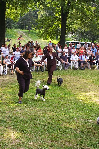 Kynologická revue - www.dogsk.sk