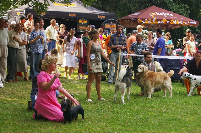 Kynologická revue - www.dogsk.sk