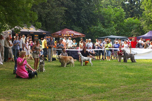 Kynologická revue - www.dogsk.sk