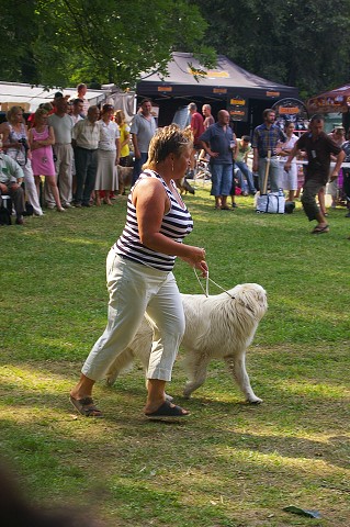 Kynologická revue - www.dogsk.sk