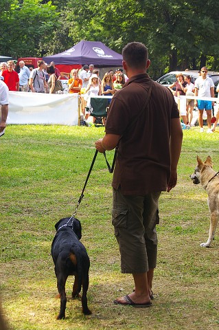 Kynologická revue - www.dogsk.sk