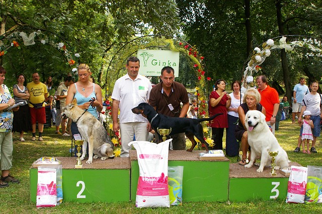 Kynologická revue - www.dogsk.sk