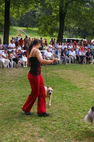 Kynologická revue - www.dogsk.sk