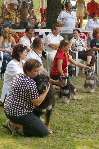 Kynologická revue - www.dogsk.sk