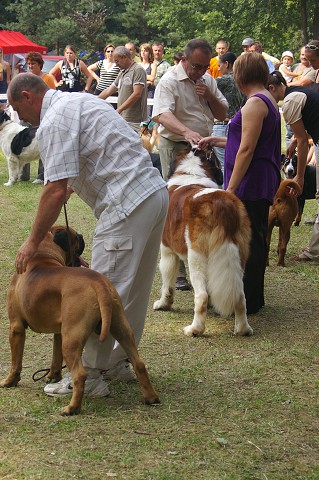 Kynologická revue - www.dogsk.sk