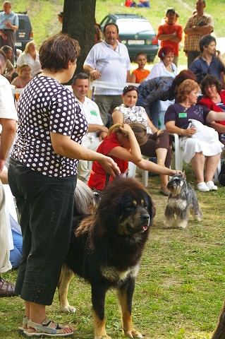 Kynologická revue - www.dogsk.sk