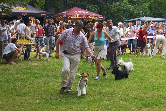 Kynologická revue - www.dogsk.sk