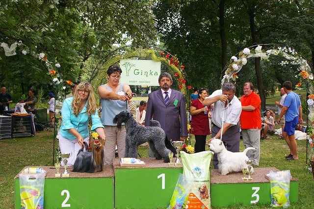 Kynologická revue - www.dogsk.sk
