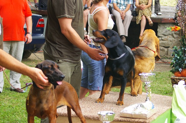 Kynologická revue - www.dogsk.sk