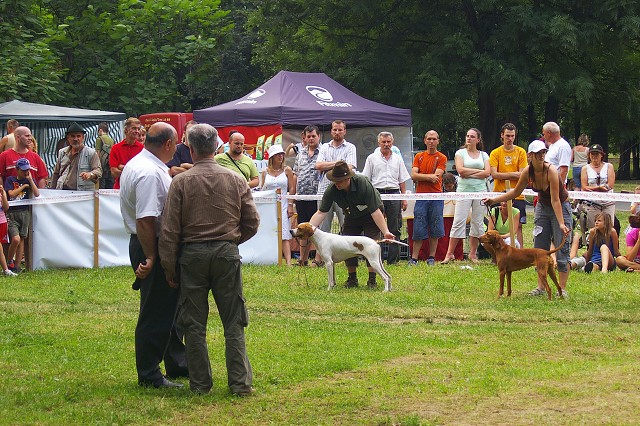 Kynologická revue - www.dogsk.sk