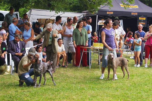 Kynologická revue - www.dogsk.sk