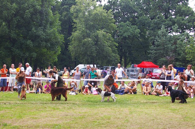 Kynologická revue - www.dogsk.sk