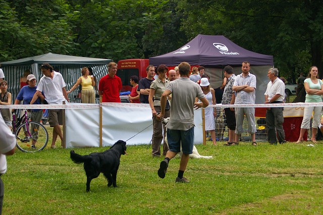 Kynologická revue - www.dogsk.sk