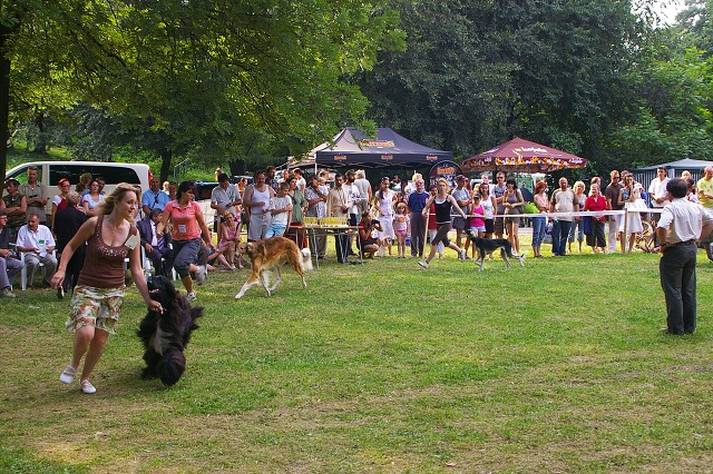 Kynologická revue - www.dogsk.sk