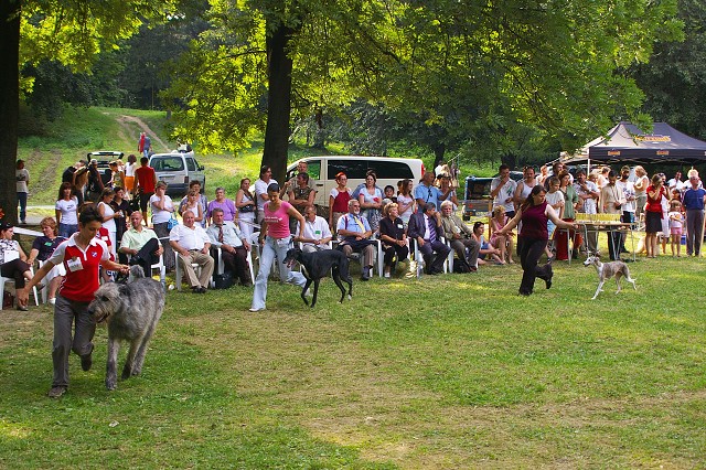 Kynologická revue - www.dogsk.sk