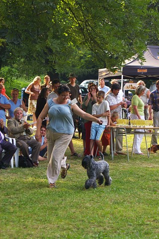 Kynologická revue - www.dogsk.sk