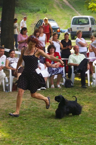 Kynologická revue - www.dogsk.sk