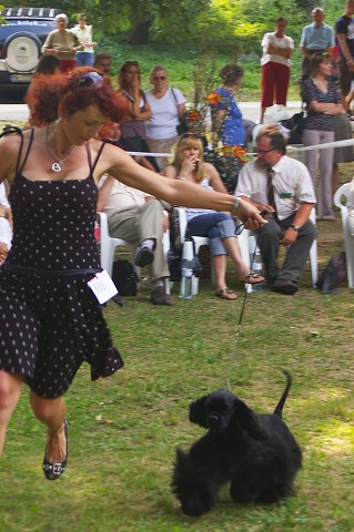 Kynologická revue - www.dogsk.sk