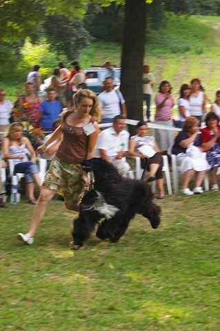 Kynologická revue - www.dogsk.sk