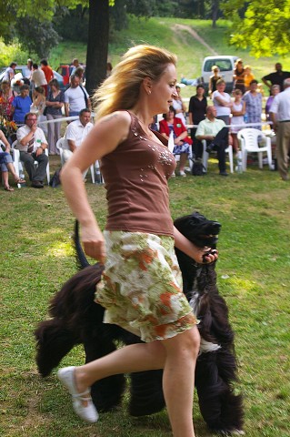 Kynologická revue - www.dogsk.sk