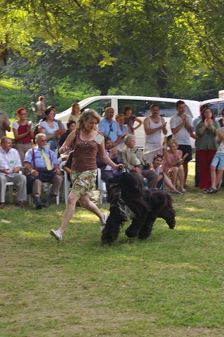 Kynologická revue - www.dogsk.sk