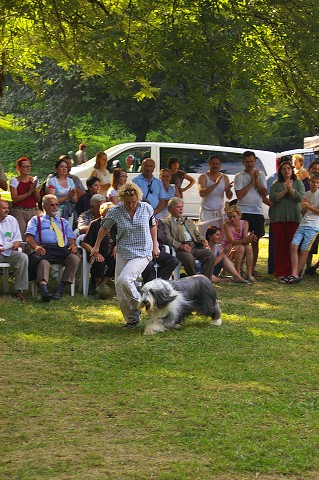 Kynologická revue - www.dogsk.sk