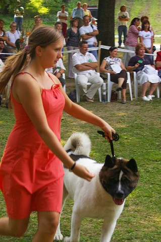 Kynologická revue - www.dogsk.sk