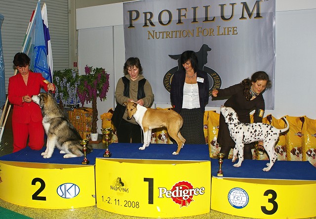 Kynologická revue - www.dogsk.sk
