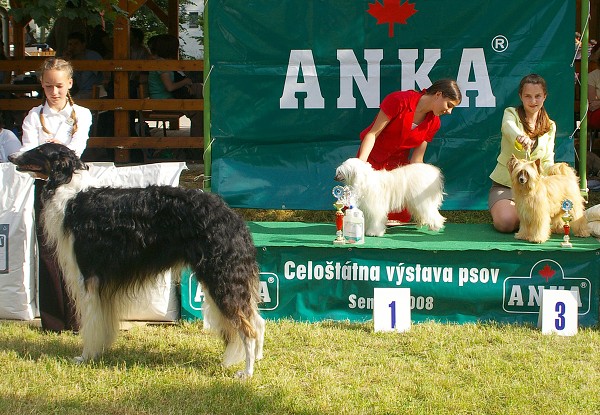 CVP Senec 6. 6. 2008