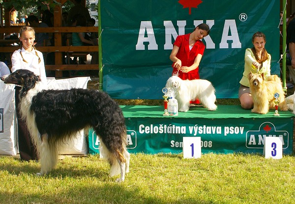 CVP Senec 6. 6. 2008