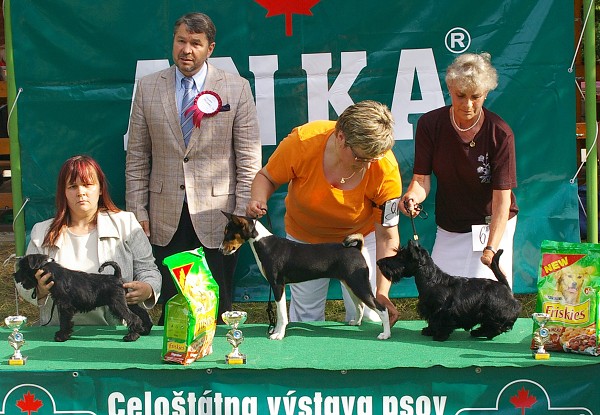 CVP Senec 6. 6. 2008