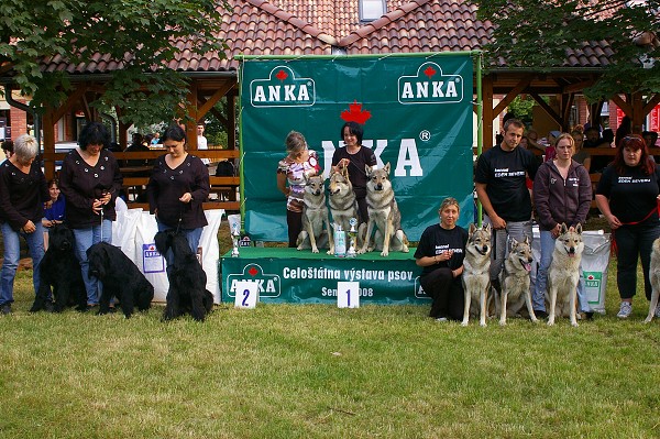CVP Senec 6. 6. 2008