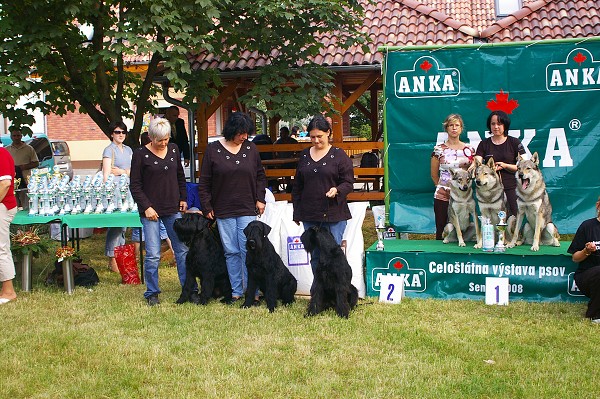 CVP Senec 6. 6. 2008