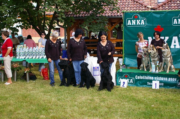 CVP Senec 6. 6. 2008