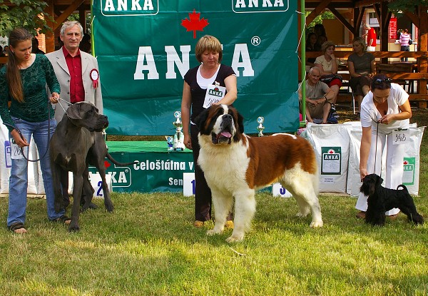 CVP Senec 6. 6. 2008